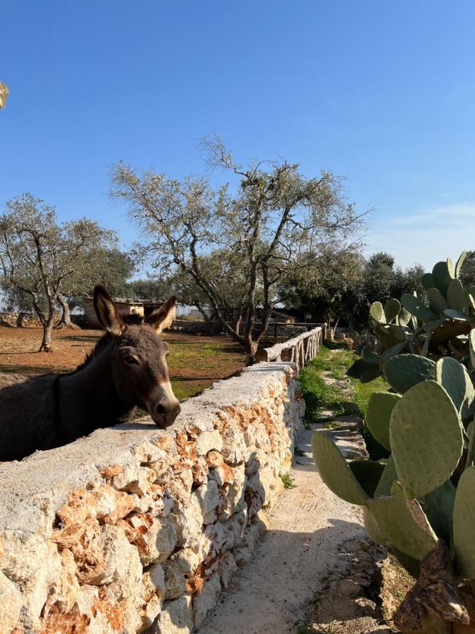 הוילה ספקיולה Trulli Dell'Angelo מראה חיצוני תמונה